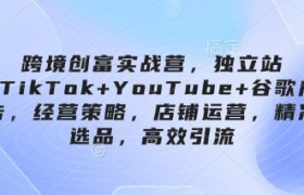 跨境创富实战营，独立站+TikTok+YouTube+谷歌广告，经营策略，店铺运营，精准选品，高效引流