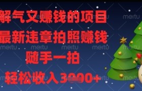 解气又挣钱的项目，最新违章拍照挣钱，随手一拍，轻松收入多张【揭秘】