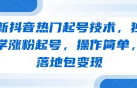 最新抖音热门起号技术，独家教学涨粉起号，操作简单，包落地包变现