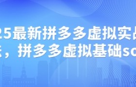 2025最新拼多多虚拟实战打法，拼多多虚拟基础sop