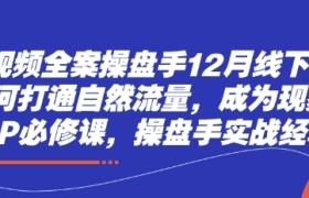 短视频全案操盘手12月线下课，如何打通自然流量，成为现象级IP必修课，操盘手实战经验