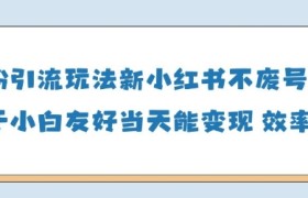 男粉引流玩法(新)，玩法友好做的好当天就能变现
