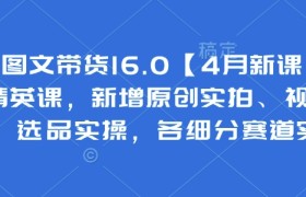 抖音图文带货16.0【4月新课】基础+精英课，新增原创实拍、视频混剪、选品实操，各细分赛道实操