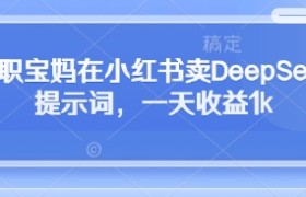 全职宝妈在小红书卖DeepSeek提示词，一天收益1k