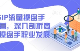 2025IP流量操盘手训练营，深入剖析商业IP操盘手职业发展