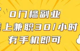 0门槛副业，线上兼职30一小时，有一部手机即可操作【揭秘】