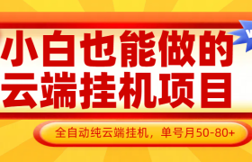 小白也能做的云端挂机项目无需操作，云端挂机，支持批量，单号月50-100，完全解放双手