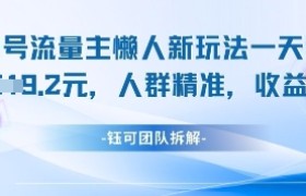 视频号流量主懒人新玩法，一天收益1k，人群精准收益高