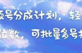 视频号分成计划，轻松日入三位数，可批量多号操作