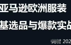 跨境电商选品案例24-25年，聚焦跨境电商选品策略与运营优化，助力卖家挖掘蓝海市场