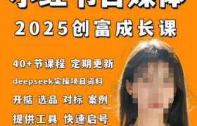 小红书电商自媒体创富课2.0版，实战打卡笔记训练营