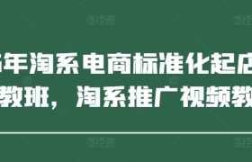2025年淘系电商标准化起店流程私教班，淘系推广视频教程