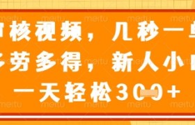 视频审核员，几秒一单，不限时间，不限地点，多做多得，新人小白一天轻松几张+【揭秘】