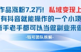 抖音私域项目23条作品涨粉7.2W，私域变现1W