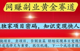 网创副业黄全赛道，掌握独家项目密码，知识变现快人一步，告别韭菜轻松实现单日变现1k+【揭秘】