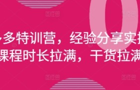 拼多多特训营，经验分享实操，课程时长拉满，干货拉满(更新25年4月)
