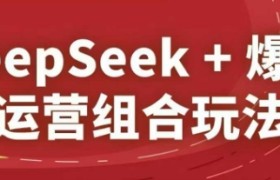 DeepSeek+爆品运营组合玩法，2025淘系精品课