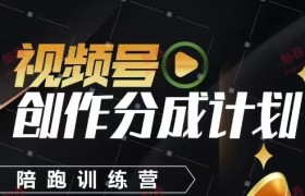 视频号创作分成计划陪跑训练营，手把手教会你如何制作视频，细水长流型项目