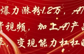 20天爆力涨粉1.2W，AI猫咪带货视频，加上AI产品种草，变现能力杠杠的