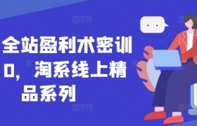 无界全站盈利术密训22.0，淘系线上精品系列