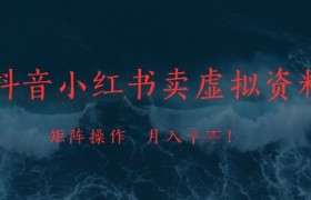 a抖音小红书卖虚拟资料，市场需求一直存在，矩阵操作，月入1w+