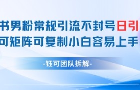 小红书男粉常规引流不封号日引99+变现简单 可矩阵可复制小白容易上手
