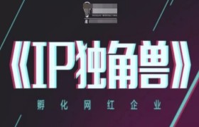 IP独角兽，孵化网红企业，ip教程