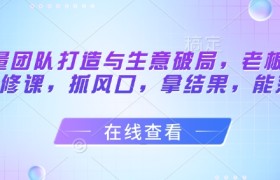流量团队打造与生意破局，老板流量必修课，抓风口，拿结果，能落地
