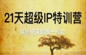 21天超级IP特训营，屌丝逆袭的唯一机会