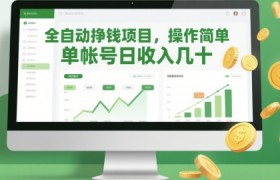 全自动挣钱项目，操作简单，单帐号日收入几十