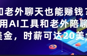 和老外聊天也能挣钱？利用AI工具和老外陪聊挣美金，时薪可达20刀