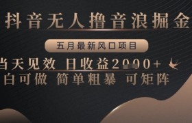 抖音无人撸音浪掘金，五月最新风口项目，当天见效，日收益多张，小白可做简单粗暴可矩阵【揭秘】
