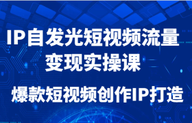 IP自发光短视频流量变现实操课，爆款短视频创作IP打造