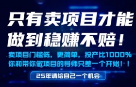 只有卖项目才能做到稳挣不赔，门槛低，更简单，你也可以年入百个W【揭秘】