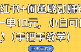 小红书+闲鱼联动挣钱，一单10元，小白可做