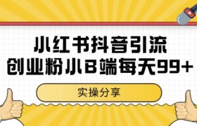 小红书抖音创业粉，小B端粉自热，日引99+的一个玩法【揭秘】