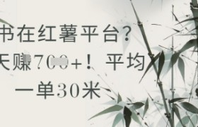 抄书在小红薯平台？平均一单30米，一天收益几张！
