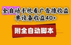 全自动看广告撸收益，单设备收益40+，可矩阵，附脚本，小白必选【揭秘】