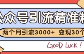 a公众号精准粉引流玩法，2个月3000+精准粉，变现30个W【揭秘】