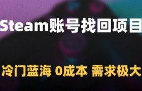 Steam账号找回项目，冷门蓝海，0成本，需求极大