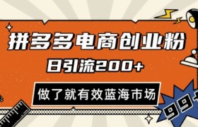 拼多多引流电商创业粉，日引200+，可矩阵放大，做了就有效【揭秘】