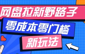 一个人也能操作的网盘拉新野路子玩法，零成本零门槛多种变现方式，轻松月入万元