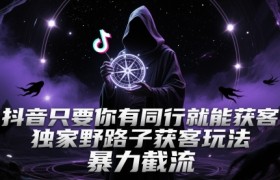 抖音只要你有同行就能获客，独家野路子获客玩法，暴力截流【揭秘】