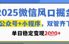 2025微信风口掘金，公众号+小程序双管齐下，单日稳定变现1k+【揭秘】