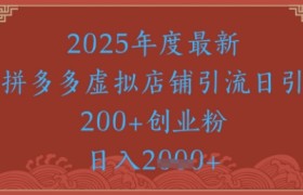 绝密引流秘籍，拼多多虚拟店铺引流，日引500+