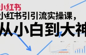 小红书引流实操课，从小白到大神