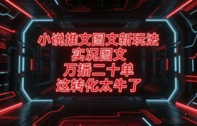 小说推文图文新玩法，实况图文，万播二十单，这转化太牛了！