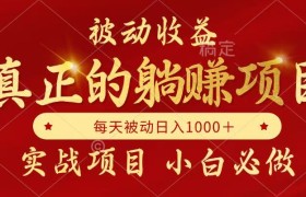 全网首发设计项目，真正实现躺赚，并且每月收益逐月增加，自己做老板