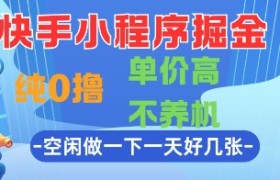 快手小程序掘金，纯0撸，单价高不养机 利用空闲时间做一做，一天好几张【揭秘】
