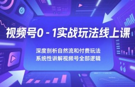 视频号0-1实战玩法线上课，深度剖析自然流和付费玩法，统性讲解视频号全部逻辑